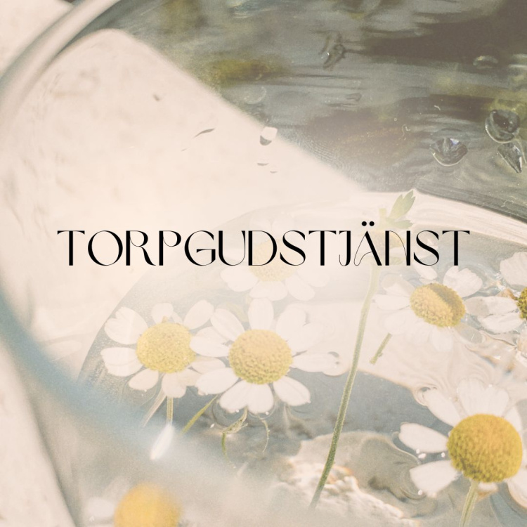 torp