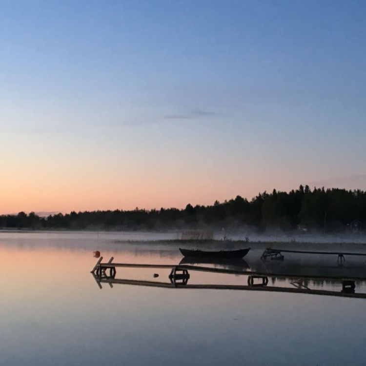 fridskär